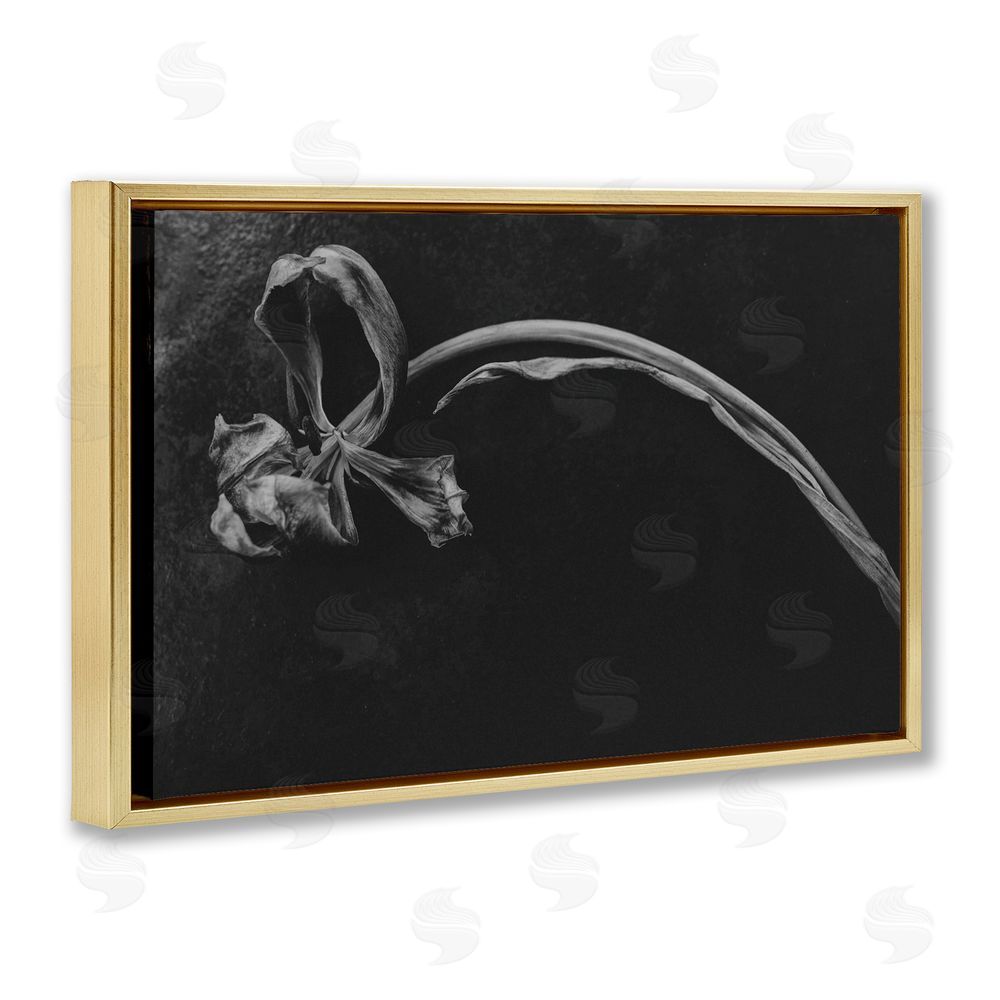 Amy Carroll Soft Collapse Flower Gold Floating Frame Canvas Wall Art Print