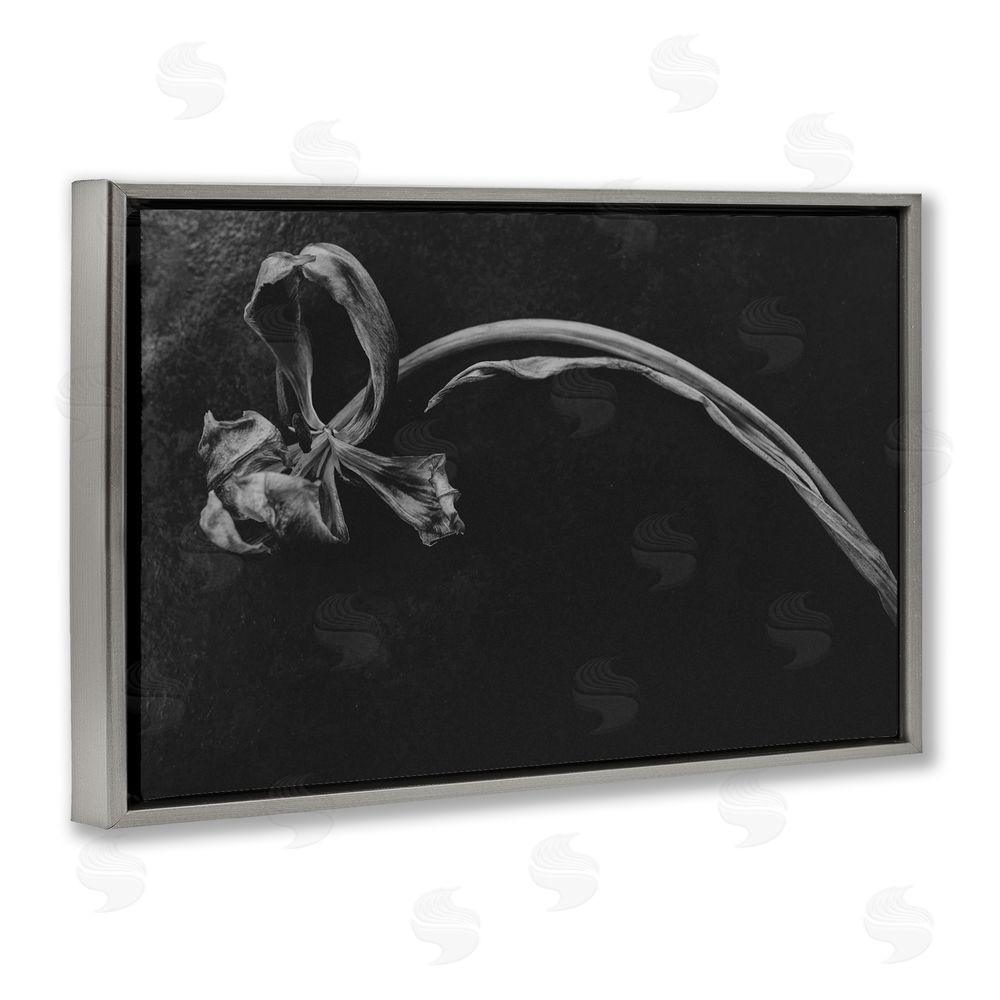 Amy Carroll Soft Collapse Flower Gray Floating Frame Canvas Wall Art Print