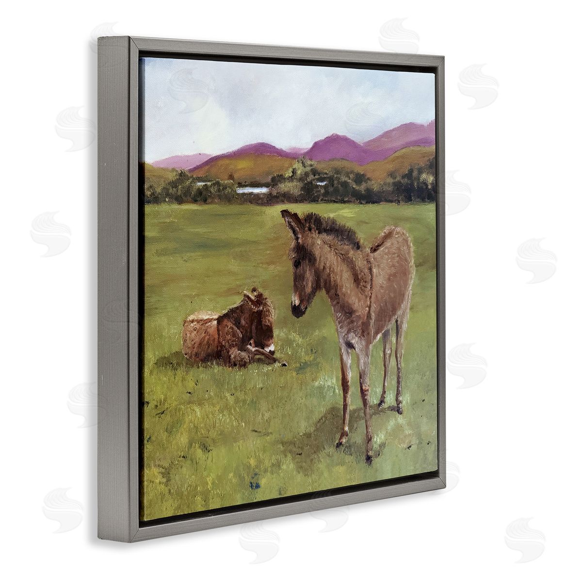 Patricia Reynolds Donkey Duo in Pasture Gray Floating Frame Canvas Wall Art Print