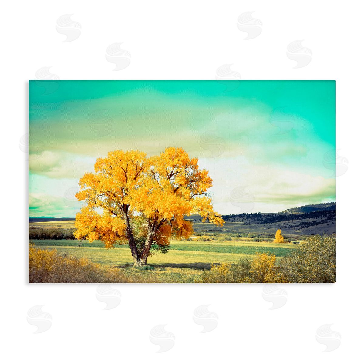 Annie Bailey Art First To Turn Tree Canvas Wall Art Print