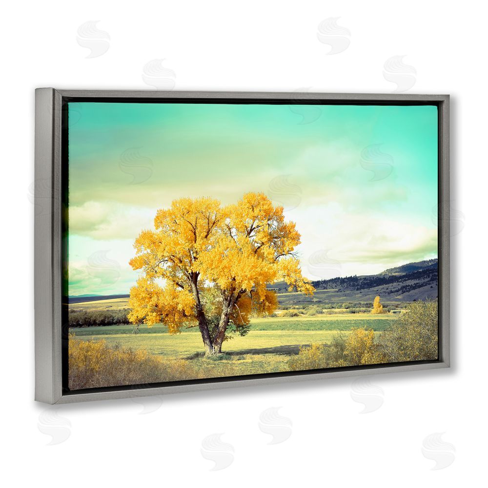 Annie Bailey Art First To Turn Tree Gray Floating Frame Canvas Wall Art Print