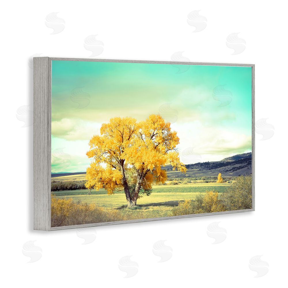 Annie Bailey Art First To Turn Tree Gray Framed Giclee Wall Art Print