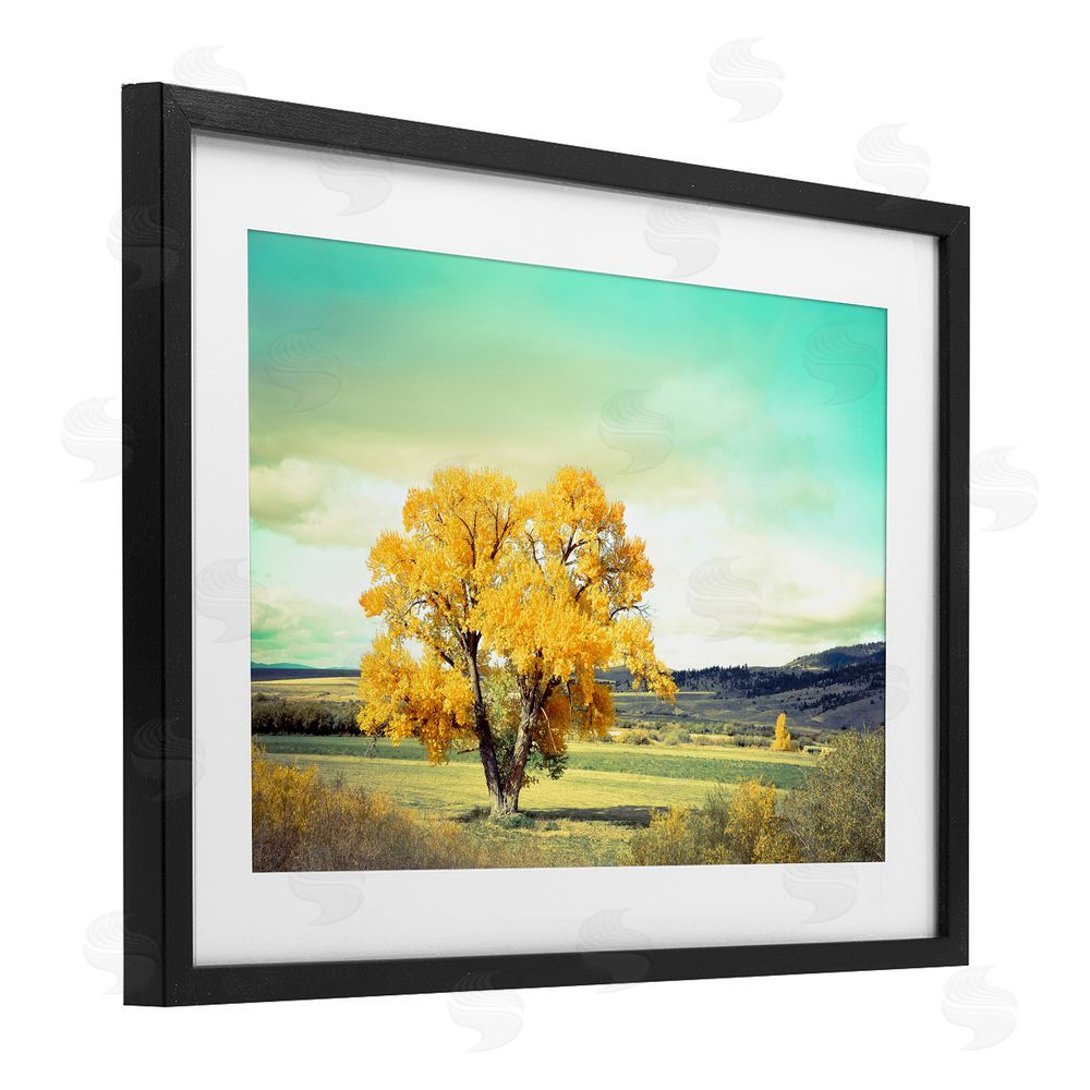 Annie Bailey Art First To Turn Tree Black Framed Print Under Glass with White Mat Wall Art