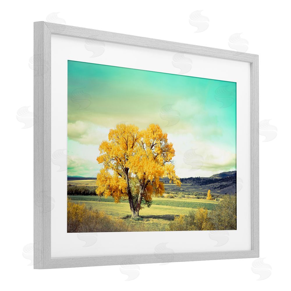 Annie Bailey Art First To Turn Tree Gray Framed Print Under Glass with White Mat Wall Art