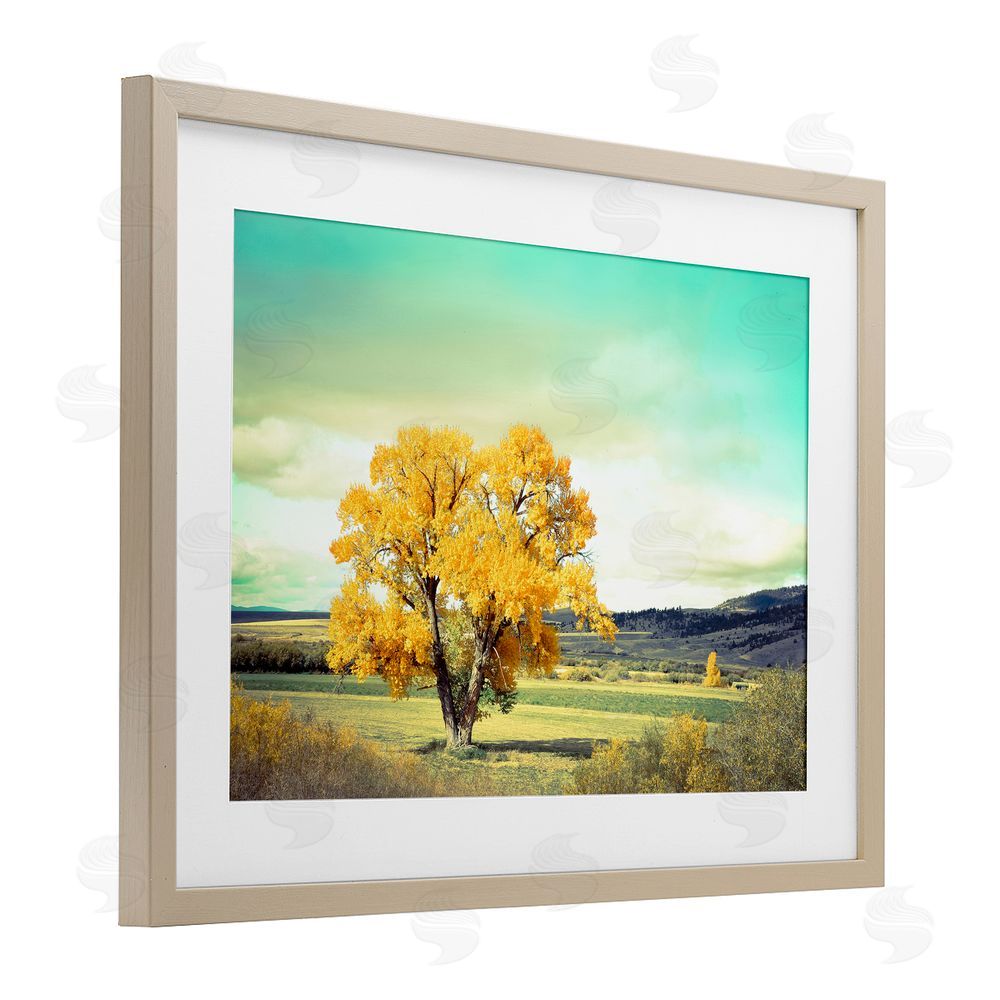 Annie Bailey Art First To Turn Tree Birch Framed Print Under Glass with White Mat Wall Art