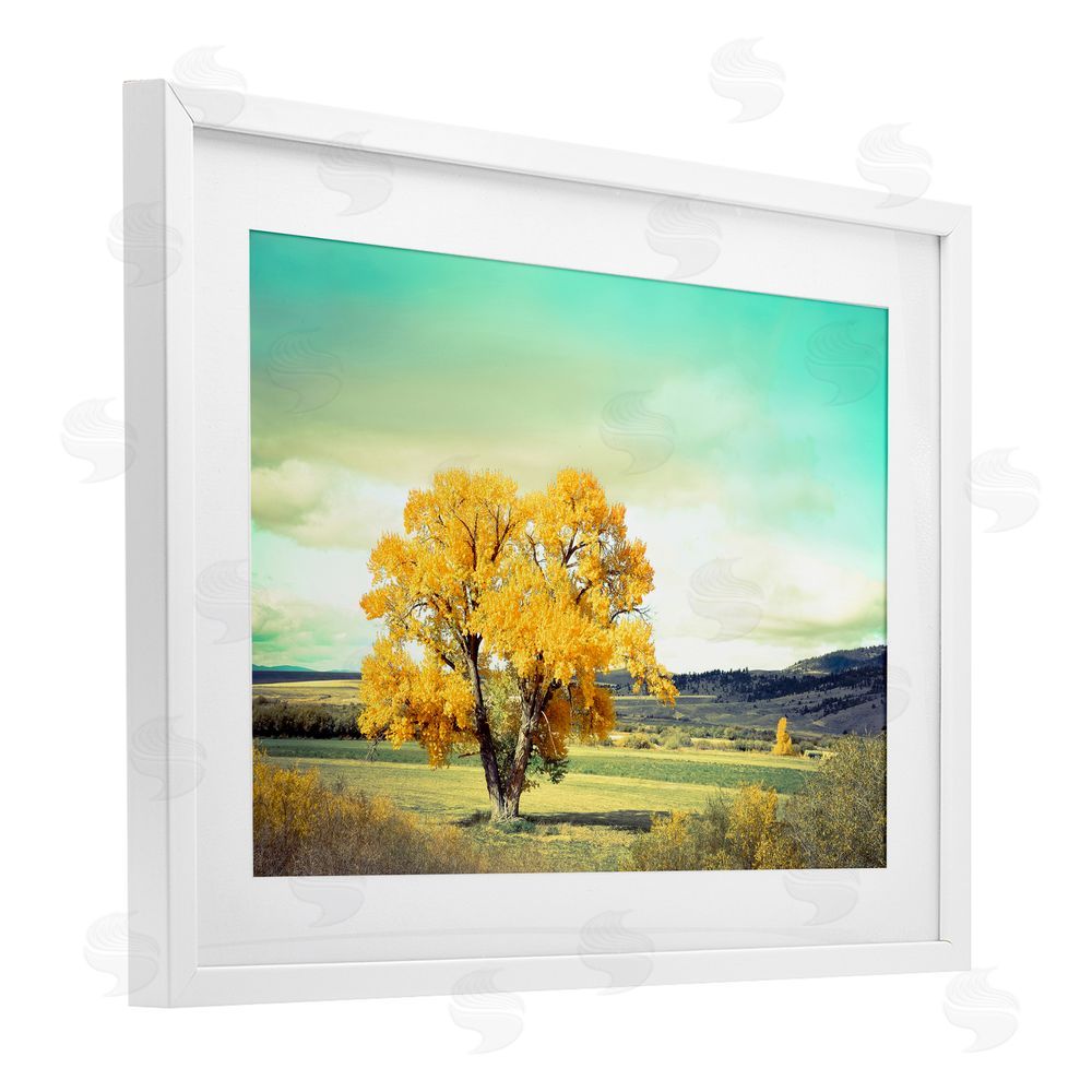 Annie Bailey Art First To Turn Tree White Framed Print Under Glass with Mat Wall Art