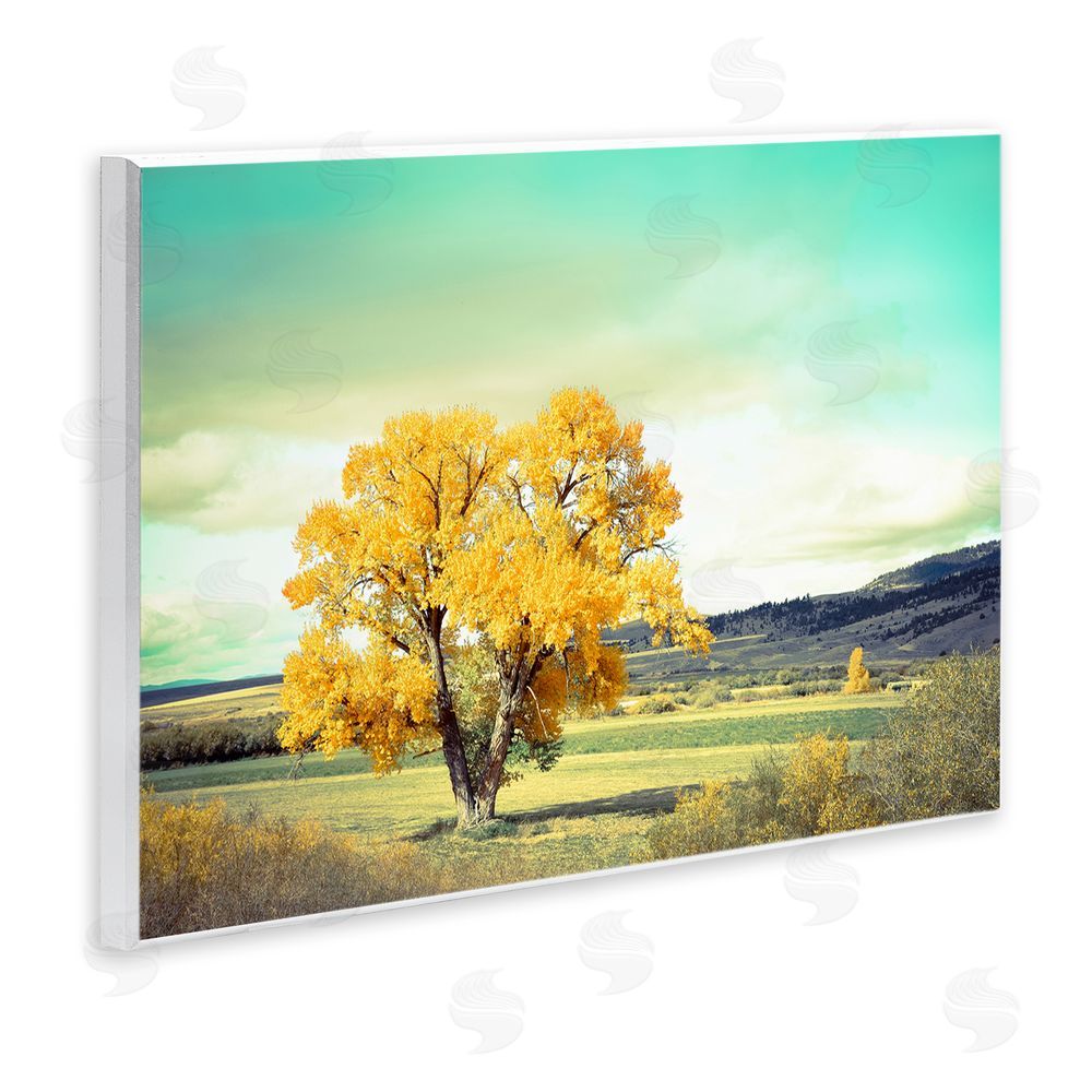 Annie Bailey Art First To Turn Tree Wall Plaque Art Print