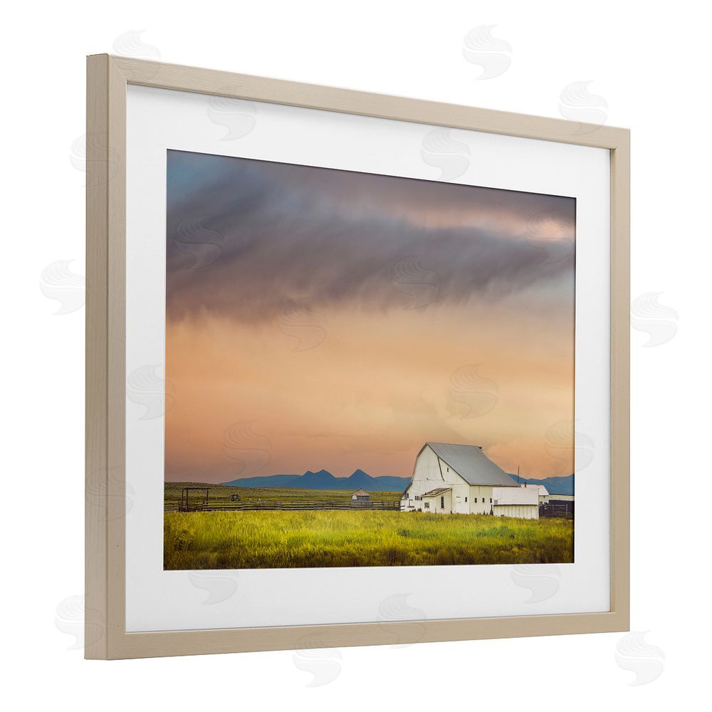 Annie Bailey Art Vintage White Barn at Sunrise Birch Framed Print Under Glass with White Mat Wall Art