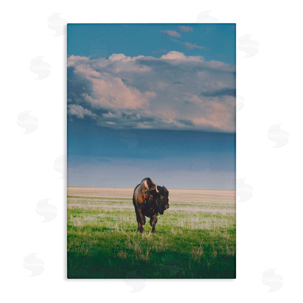 Annie Bailey Art Sunlight over Lone Bison Canvas Wall Art Print
