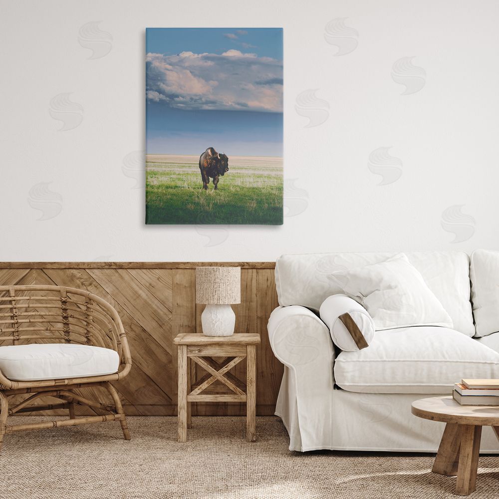 Annie Bailey Art Sunlight over Lone Bison Canvas Art on Wall