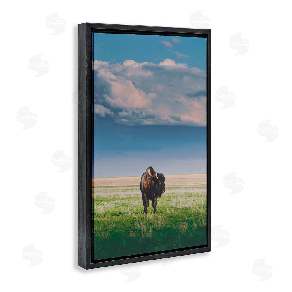 Annie Bailey Art Sunlight over Lone Bison Black Floating Frame Canvas Wall Art Print