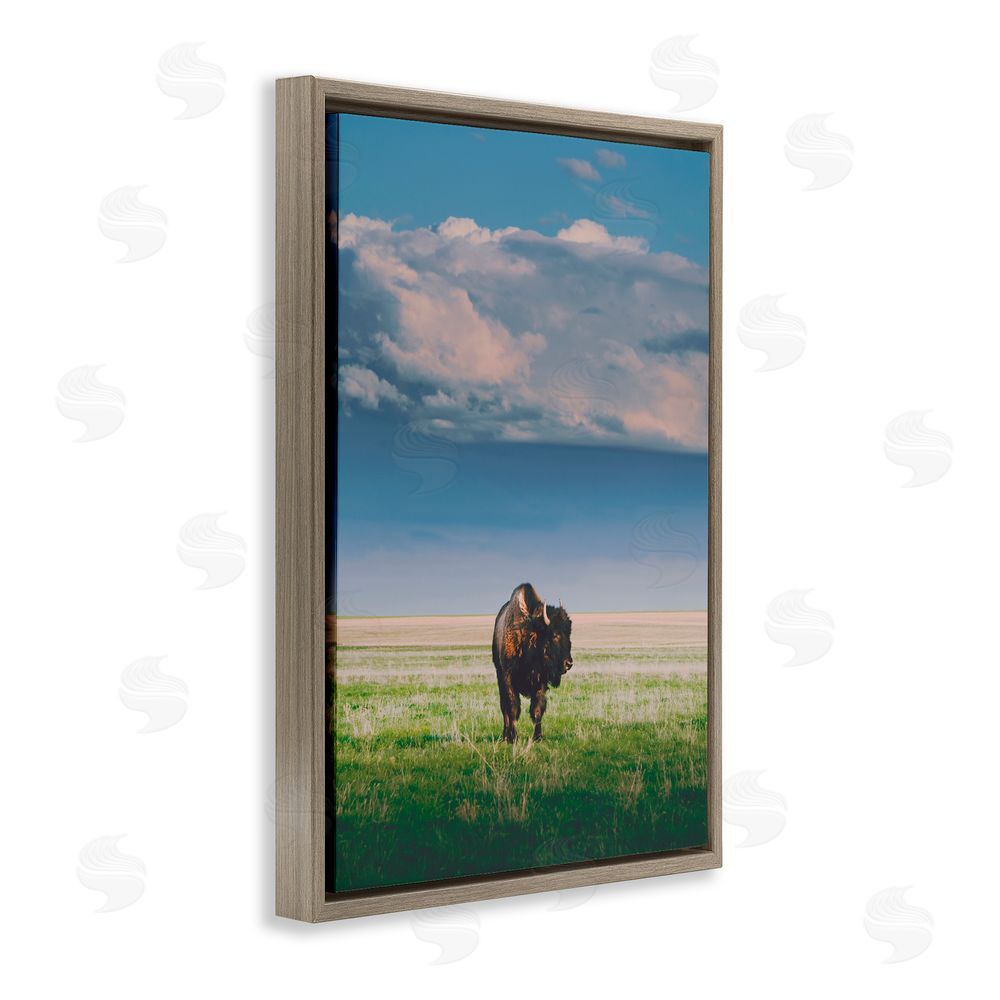 Annie Bailey Art Sunlight over Lone Bison Brown Floating Frame Canvas Wall Art Print
