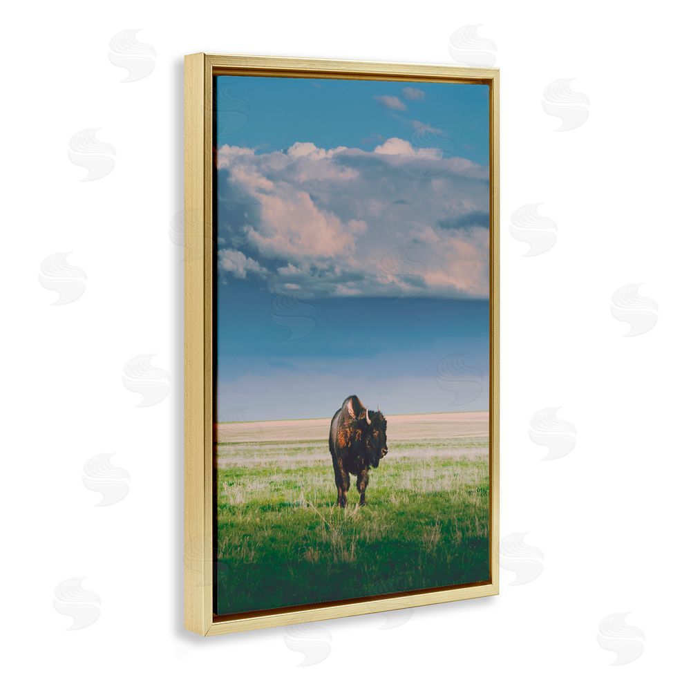 Annie Bailey Art Sunlight over Lone Bison Gold Floating Frame Canvas Wall Art Print