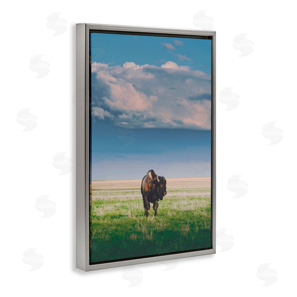 Annie Bailey Art Sunlight over Lone Bison Gray Floating Frame Canvas Wall Art Print