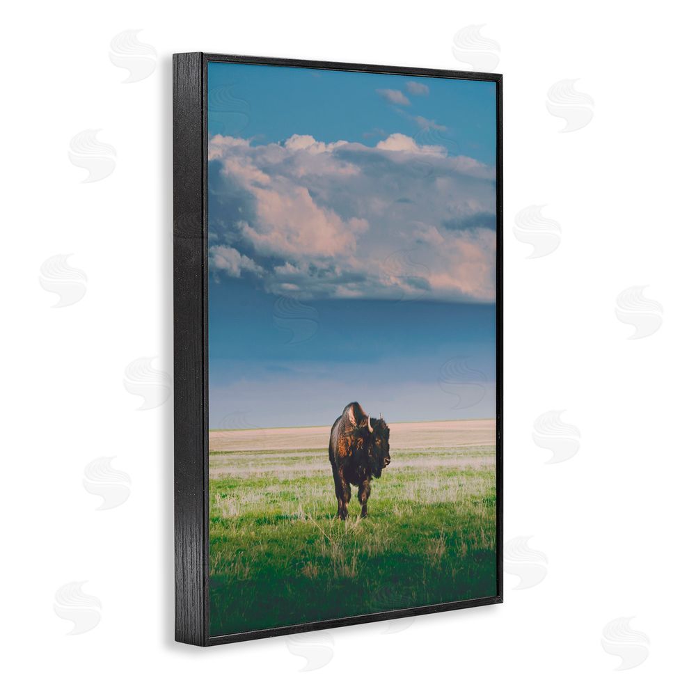 Annie Bailey Art Sunlight over Lone Bison Black Framed Giclee Wall Art Print