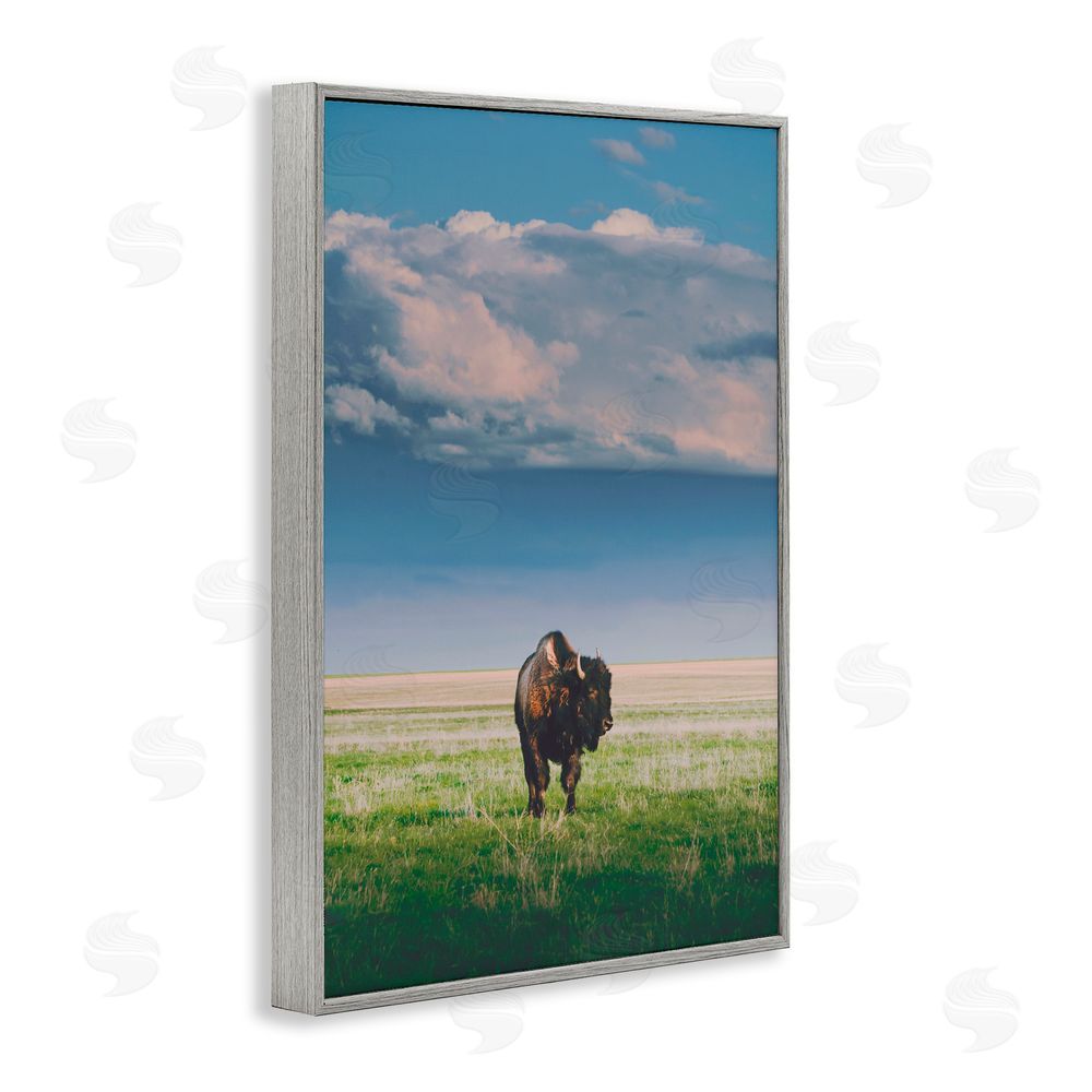 Annie Bailey Art Sunlight over Lone Bison Gray Framed Giclee Wall Art Print
