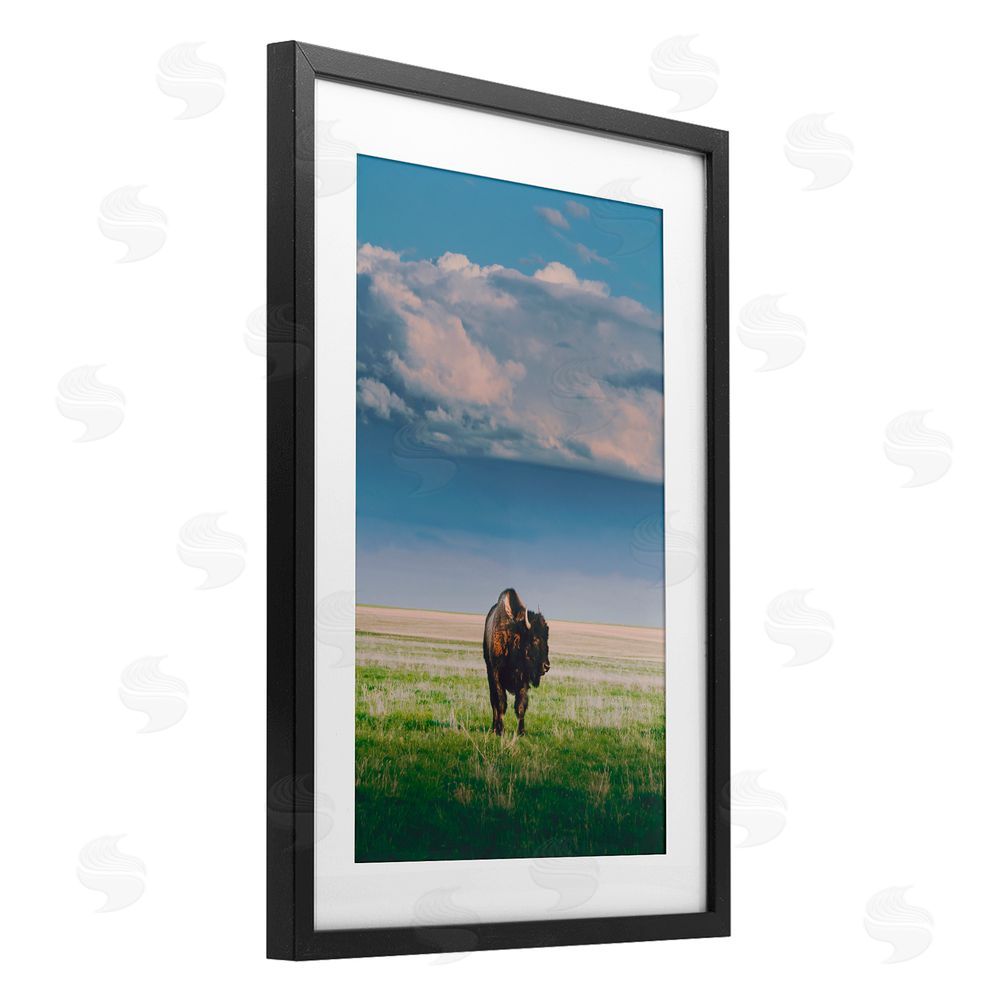 Annie Bailey Art Sunlight over Lone Bison Black Framed Print Under Glass with White Mat Wall Art