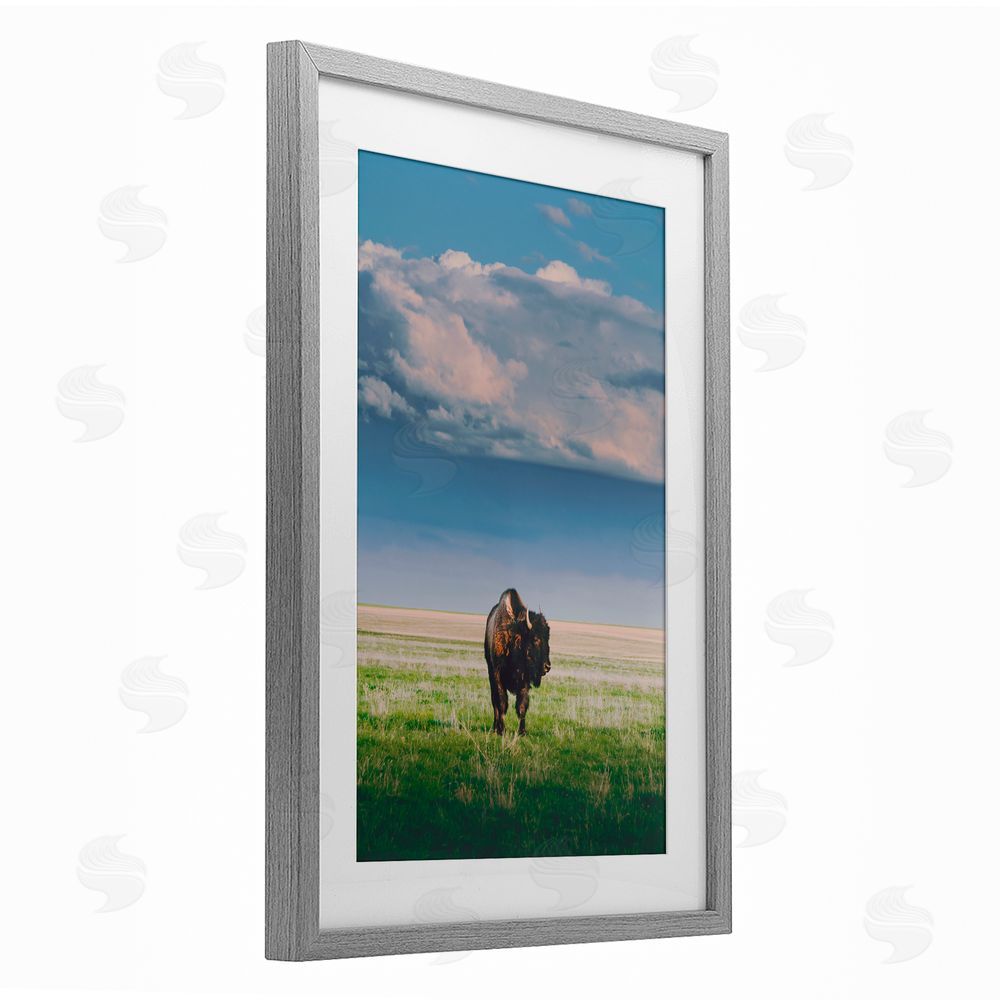 Annie Bailey Art Sunlight over Lone Bison Gray Framed Print Under Glass with White Mat Wall Art
