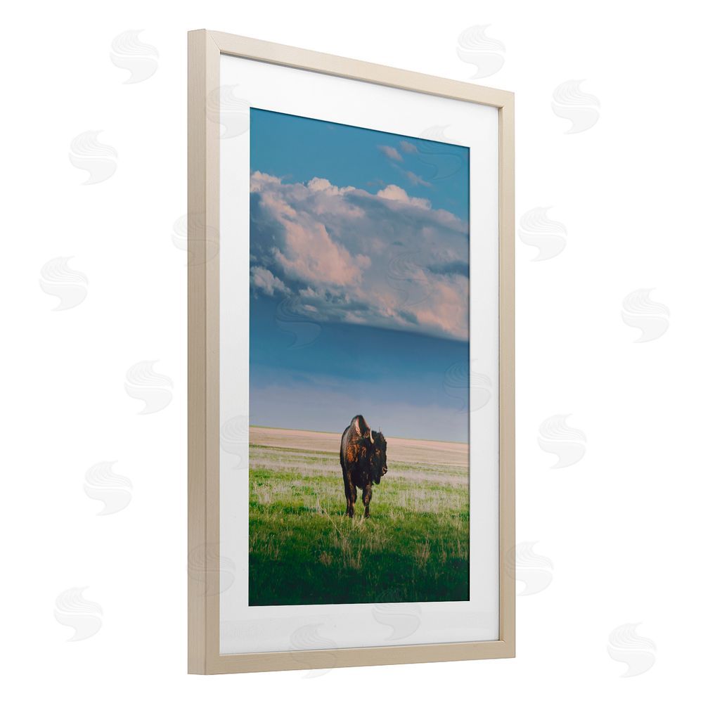 Annie Bailey Art Sunlight over Lone Bison Birch Framed Print Under Glass with White Mat Wall Art