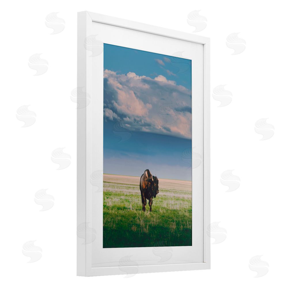 Annie Bailey Art Sunlight over Lone Bison White Framed Print Under Glass with Mat Wall Art