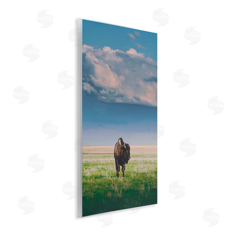 Annie Bailey Art Sunlight over Lone Bison Wall Plaque Art Print