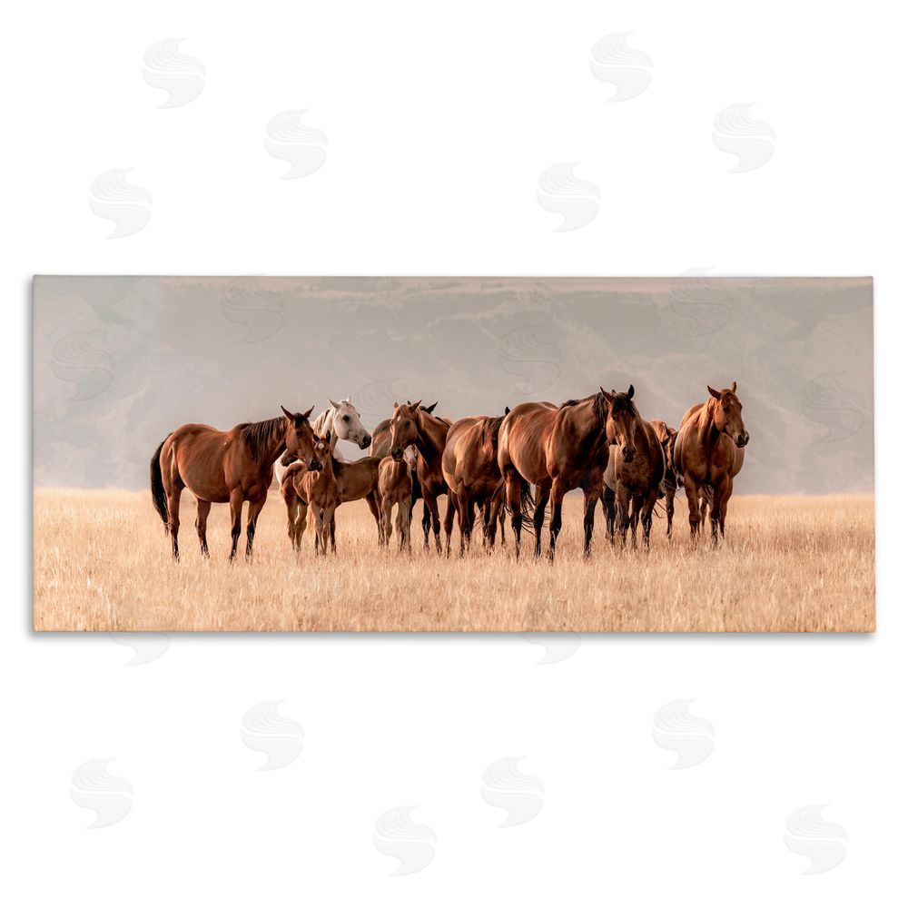 Christy Berry Montana Mares Herd Canvas Wall Art Print