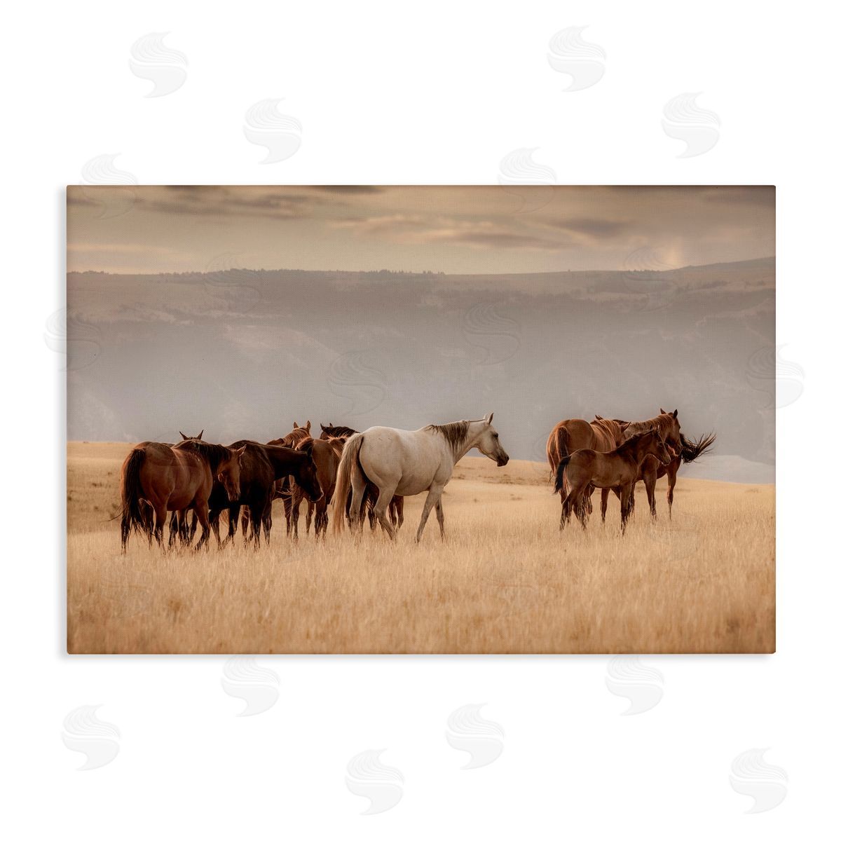 Christy Berry Equestrian Montana Herd Canvas Wall Art Print