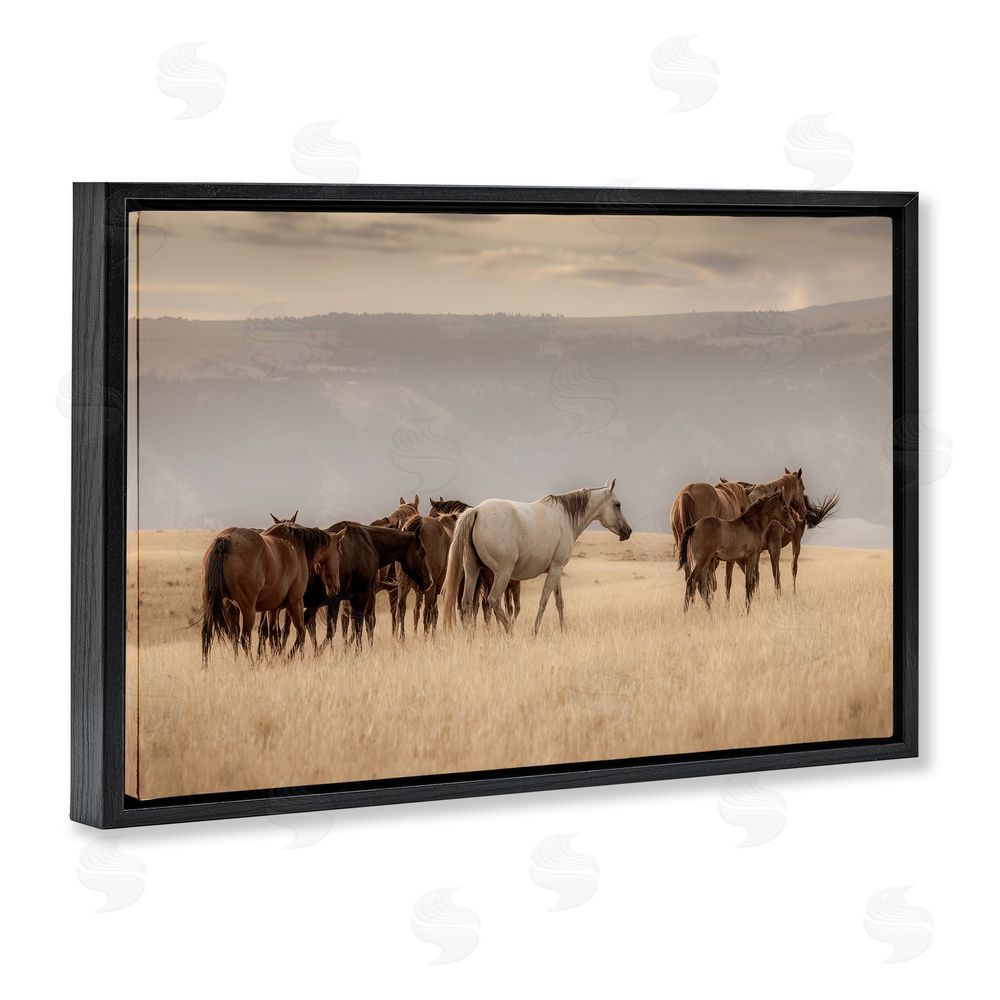Christy Berry Equestrian Montana Herd Black Floating Frame Canvas Wall Art Print