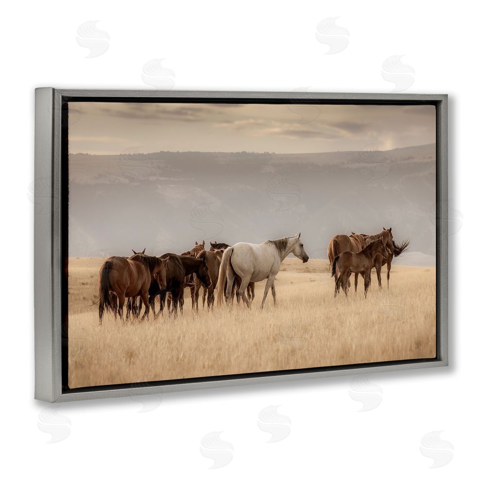 Christy Berry Equestrian Montana Herd Gray Floating Frame Canvas Wall Art Print