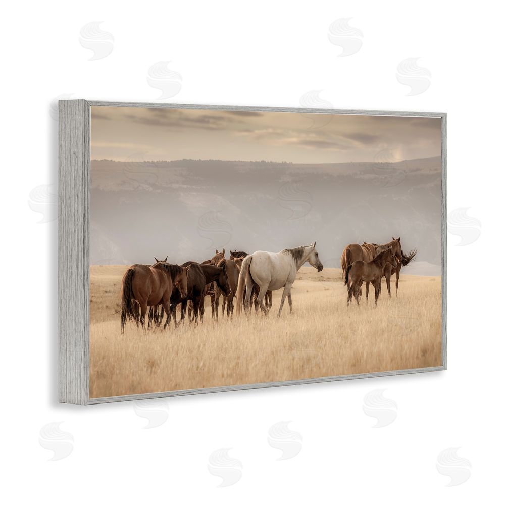 Christy Berry Equestrian Montana Herd Gray Framed Giclee Wall Art Print