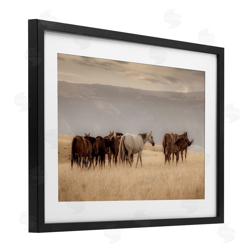 Christy Berry Equestrian Montana Herd Black Framed Print Under Glass with White Mat Wall Art