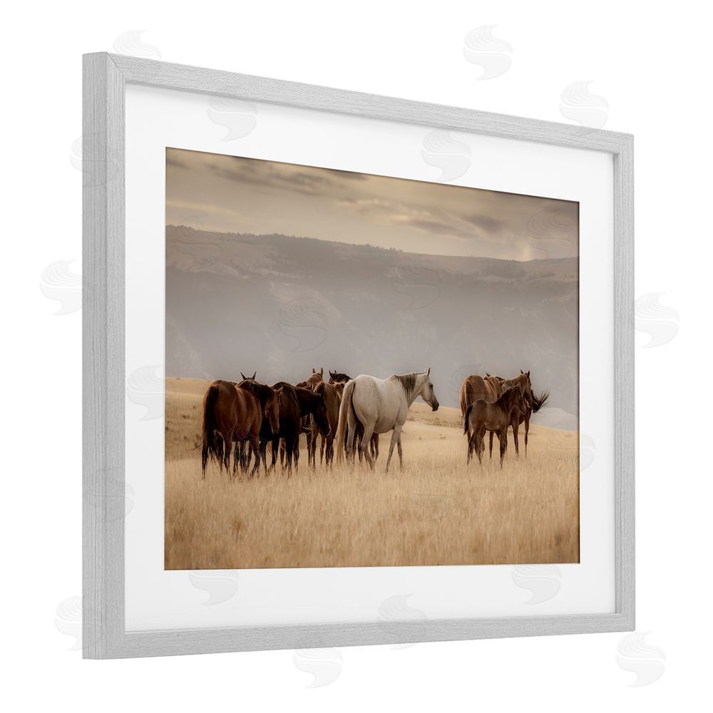 Christy Berry Equestrian Montana Herd Gray Framed Print Under Glass with White Mat Wall Art