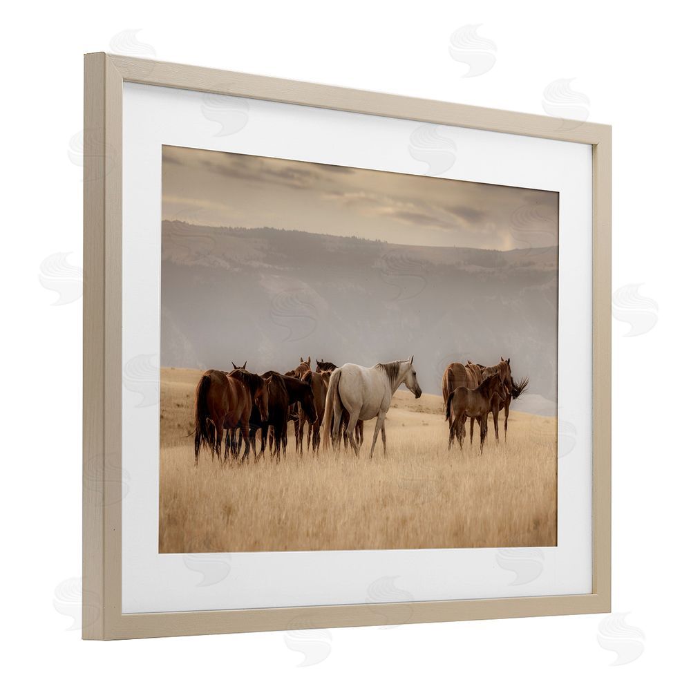 Christy Berry Equestrian Montana Herd Birch Framed Print Under Glass with White Mat Wall Art