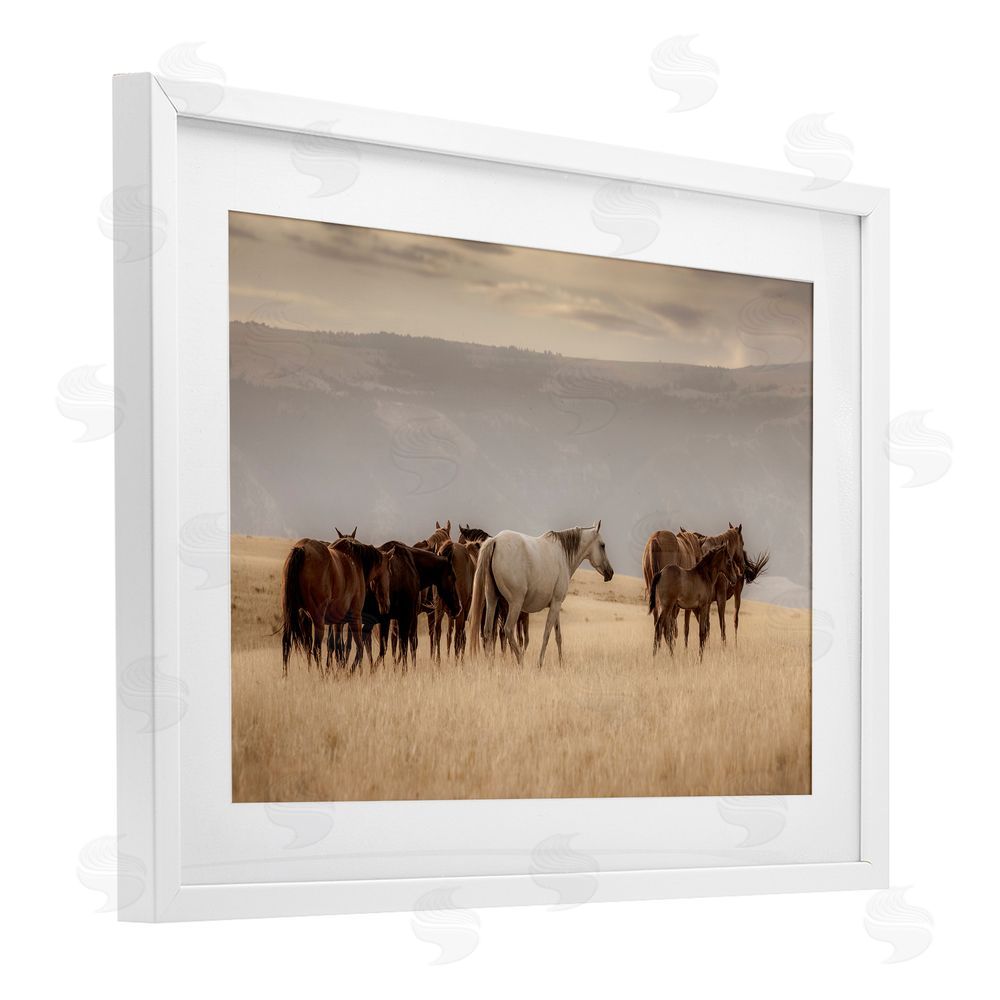 Christy Berry Equestrian Montana Herd White Framed Print Under Glass with Mat Wall Art