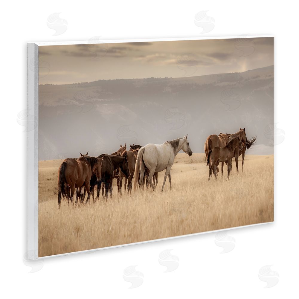 Christy Berry Equestrian Montana Herd Wall Plaque Art Print