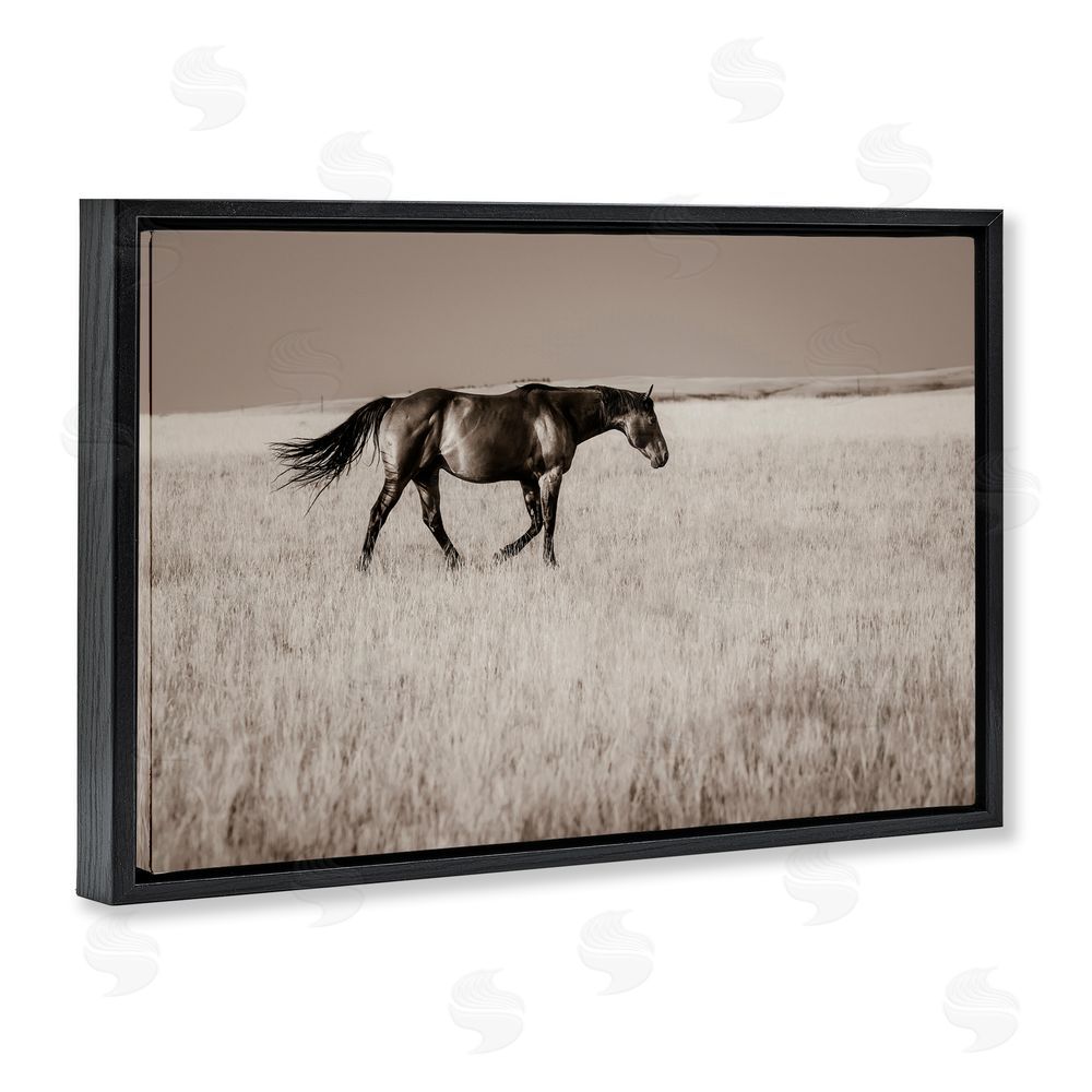 Christy Berry Dashing Montana Stallion Black Floating Frame Canvas Wall Art Print