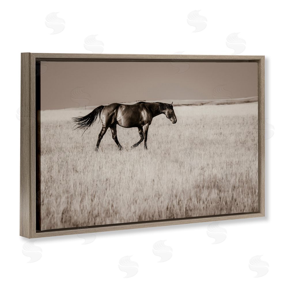 Christy Berry Dashing Montana Stallion Brown Floating Frame Canvas Wall Art Print