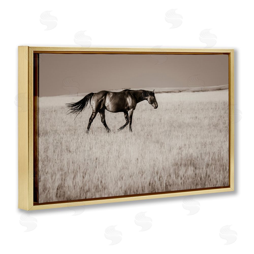 Christy Berry Dashing Montana Stallion Gold Floating Frame Canvas Wall Art Print