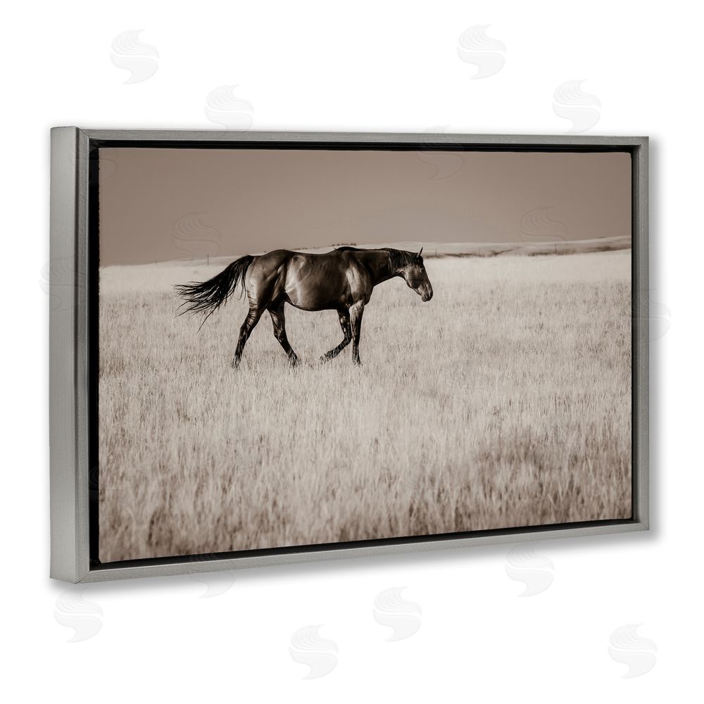 Christy Berry Dashing Montana Stallion Gray Floating Frame Canvas Wall Art Print