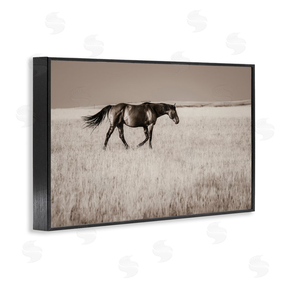 Christy Berry Dashing Montana Stallion Black Framed Giclee Wall Art Print