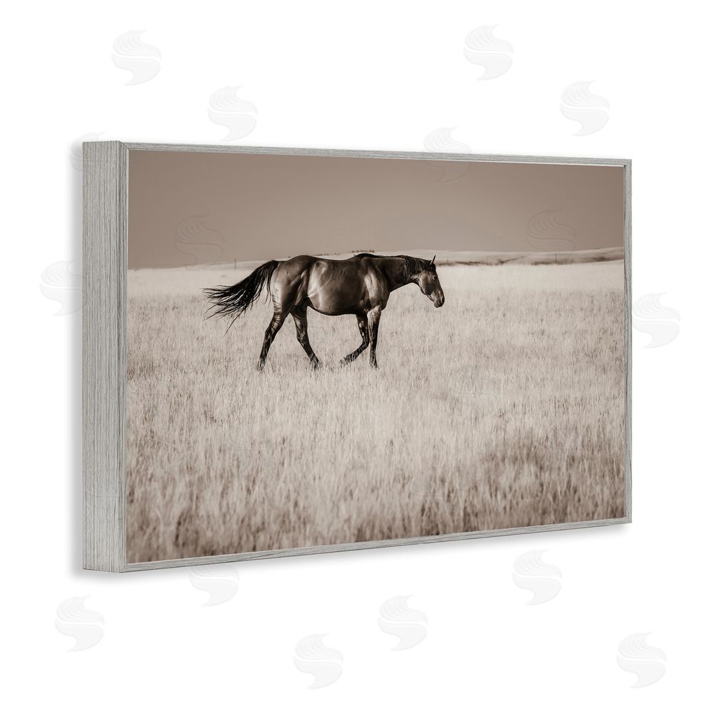 Christy Berry Dashing Montana Stallion Gray Framed Giclee Wall Art Print
