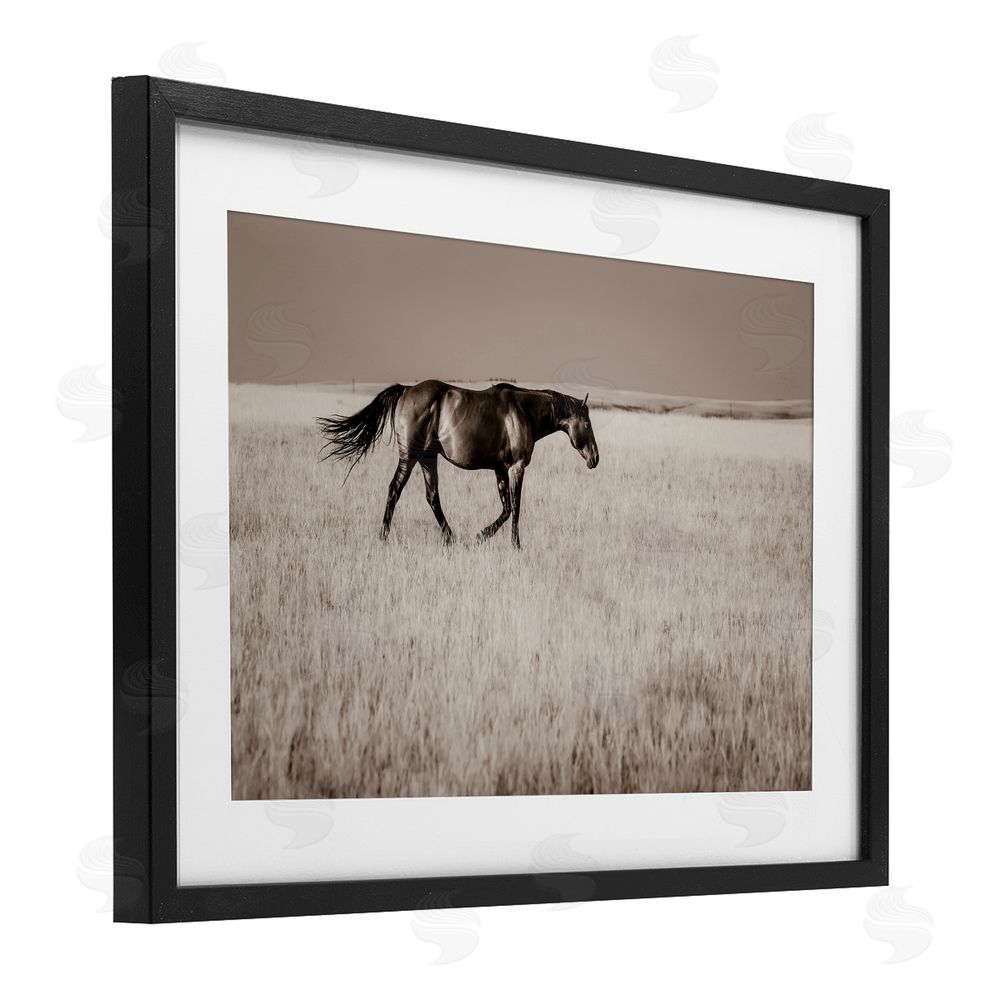 Christy Berry Dashing Montana Stallion Black Framed Print Under Glass with White Mat Wall Art