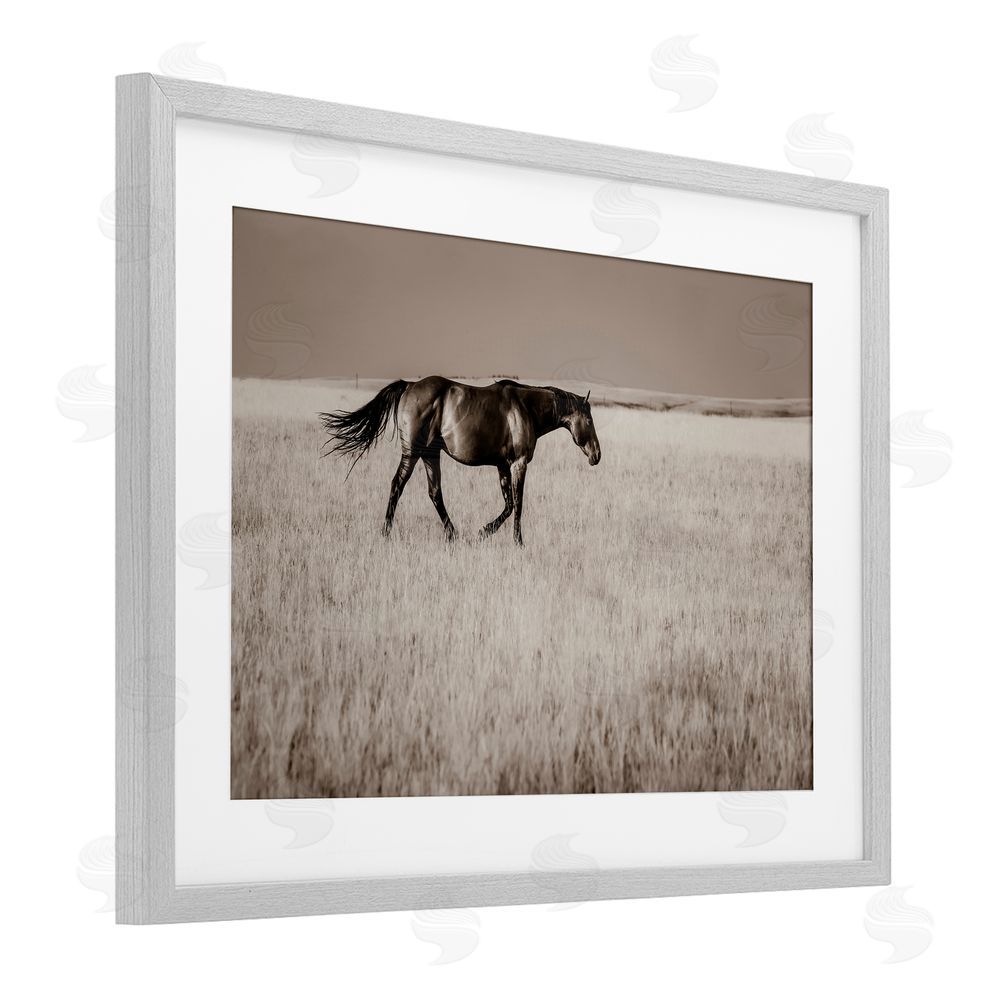 Christy Berry Dashing Montana Stallion Gray Framed Print Under Glass with White Mat Wall Art