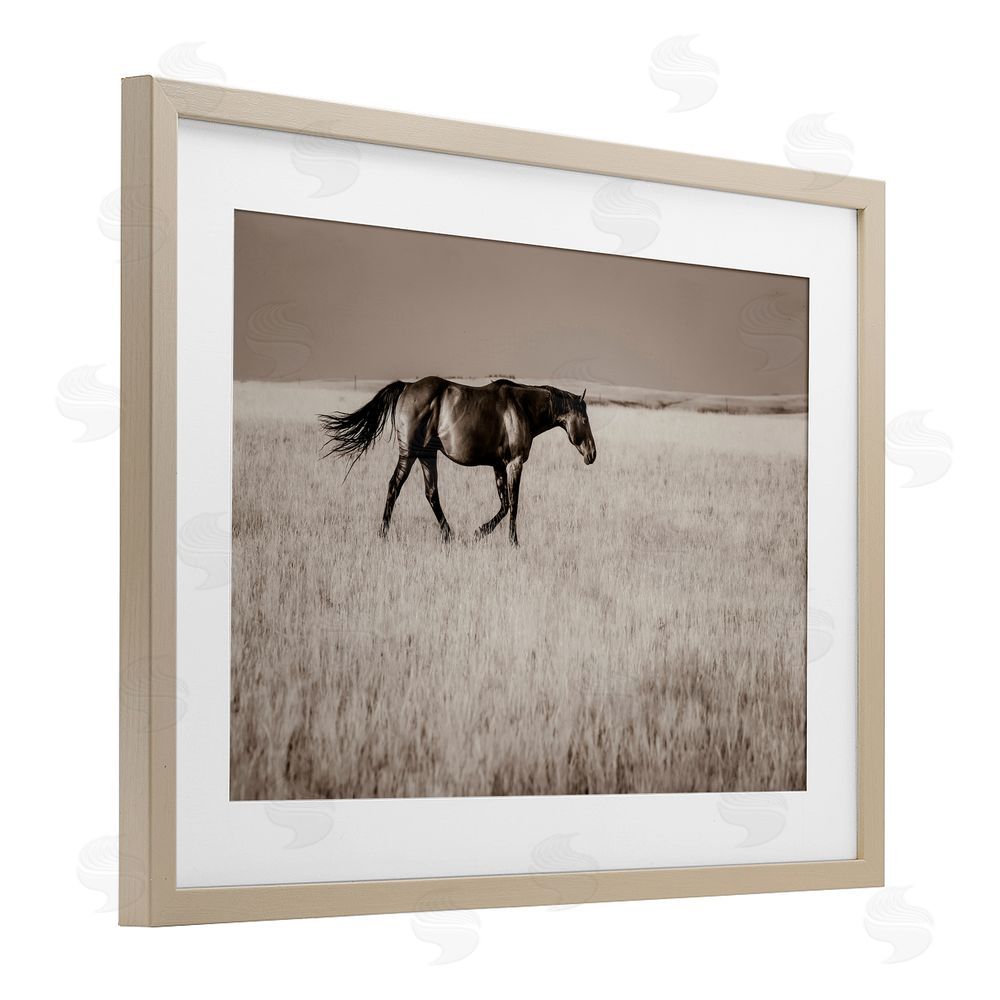 Christy Berry Dashing Montana Stallion Birch Framed Print Under Glass with White Mat Wall Art