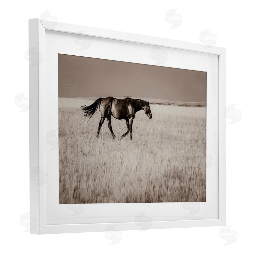 Christy Berry Dashing Montana Stallion White Framed Print Under Glass with Mat Wall Art