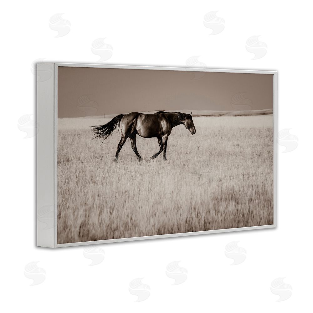 Christy Berry Dashing Montana Stallion White Framed Giclee Wall Art Print