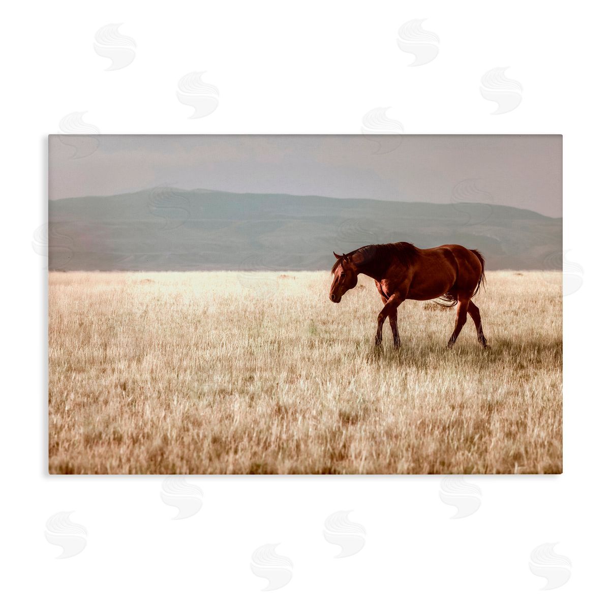 Christy Berry Serene Montana Stallion Canvas Wall Art Print