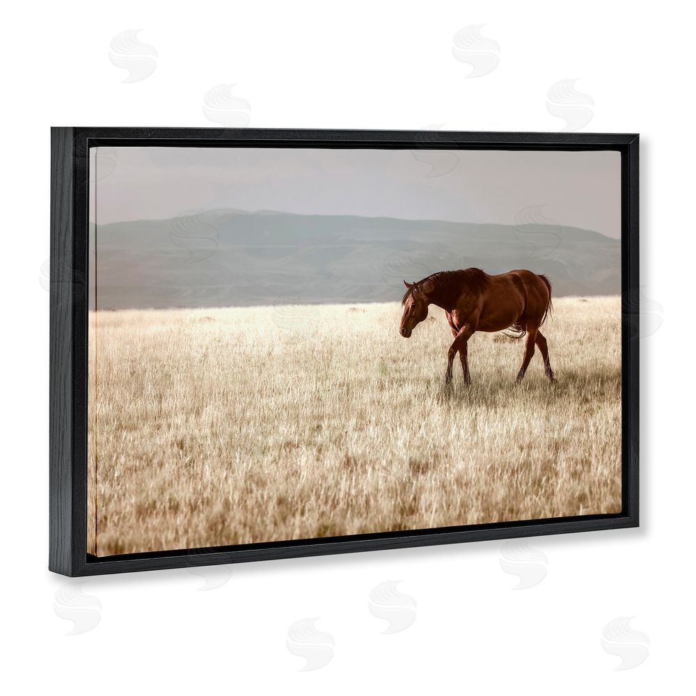 Christy Berry Serene Montana Stallion Black Floating Frame Canvas Wall Art Print