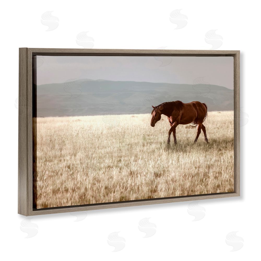 Christy Berry Serene Montana Stallion Brown Floating Frame Canvas Wall Art Print