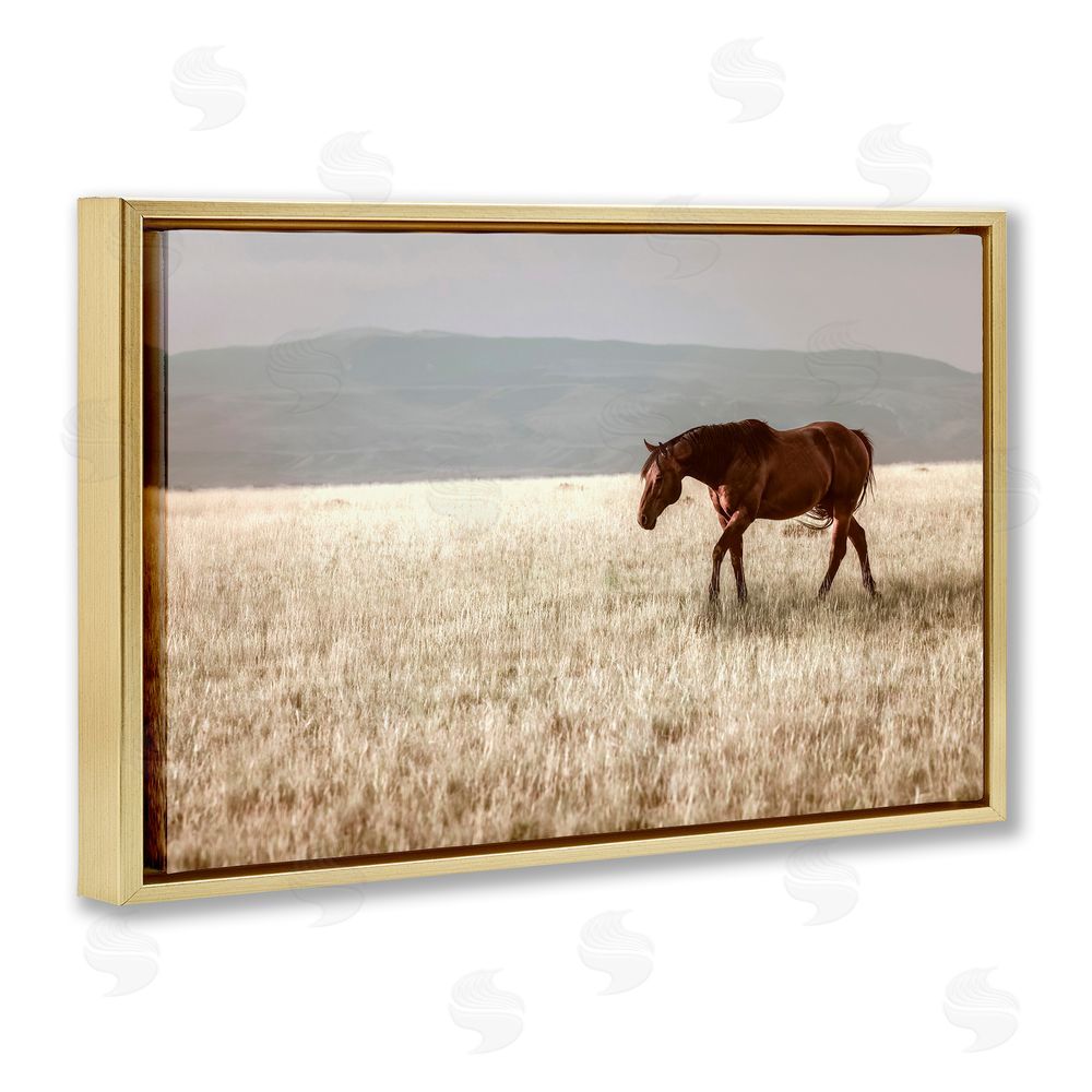 Christy Berry Serene Montana Stallion Gold Floating Frame Canvas Wall Art Print
